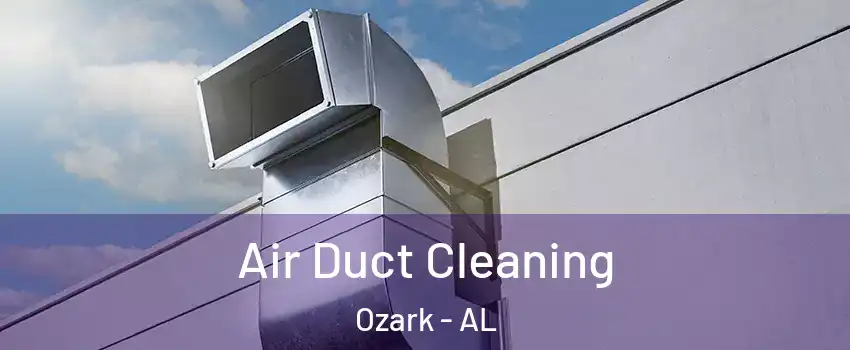  Air Duct Cleaning Ozark - AL