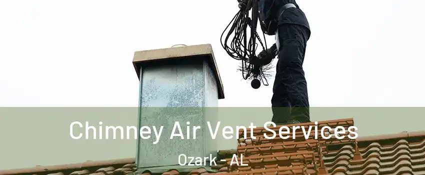  Chimney Air Vent Services Ozark - AL