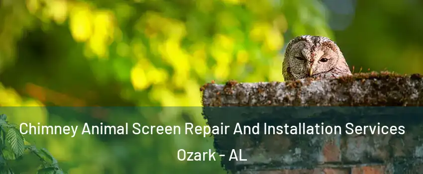  Chimney Animal Screen Repair And Installation Services Ozark - AL