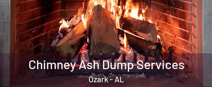  Chimney Ash Dump Services Ozark - AL