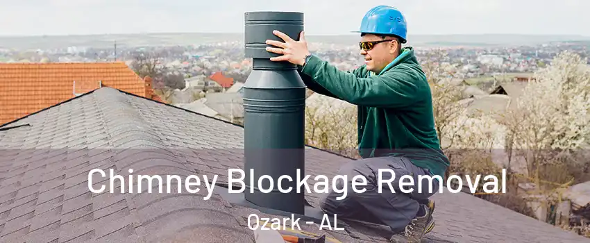  Chimney Blockage Removal Ozark - AL