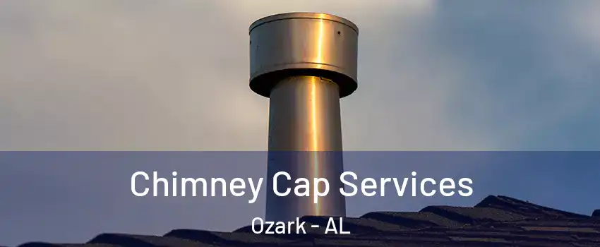  Chimney Cap Services Ozark - AL