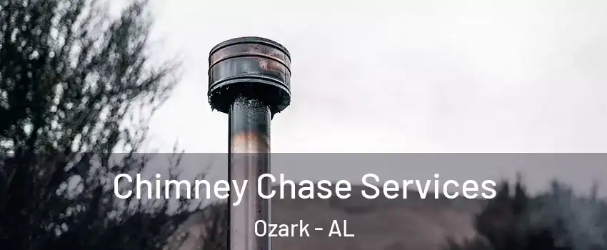  Chimney Chase Services Ozark - AL