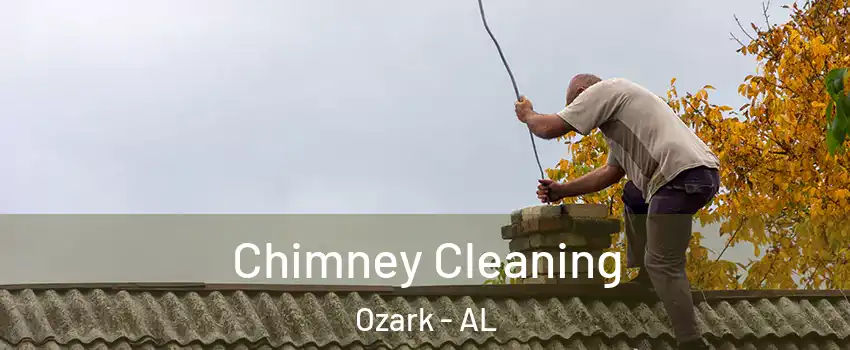  Chimney Cleaning Ozark - AL