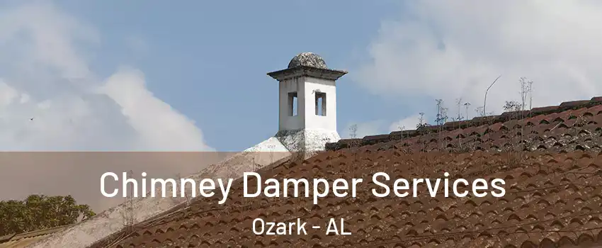  Chimney Damper Services Ozark - AL