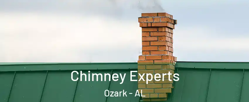 Chimney Experts Ozark - AL
