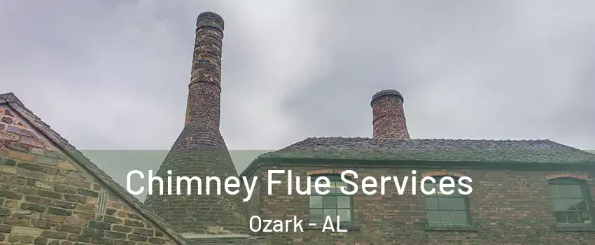  Chimney Flue Services Ozark - AL