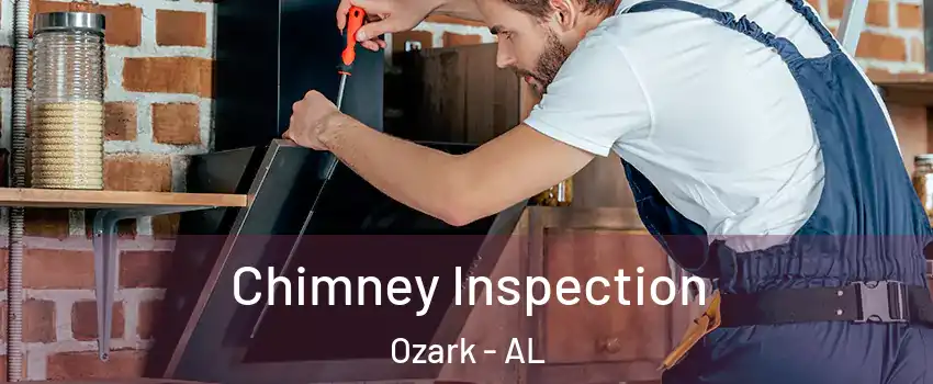  Chimney Inspection Ozark - AL