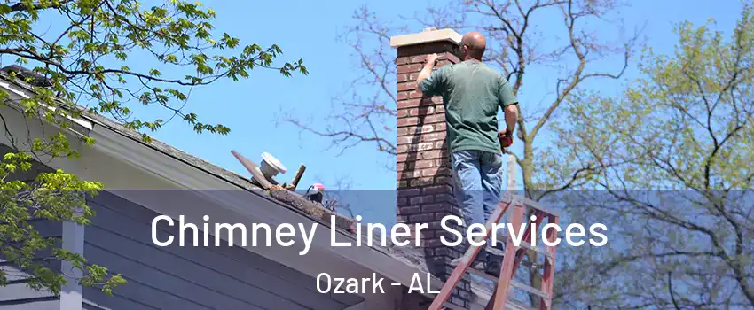  Chimney Liner Services Ozark - AL