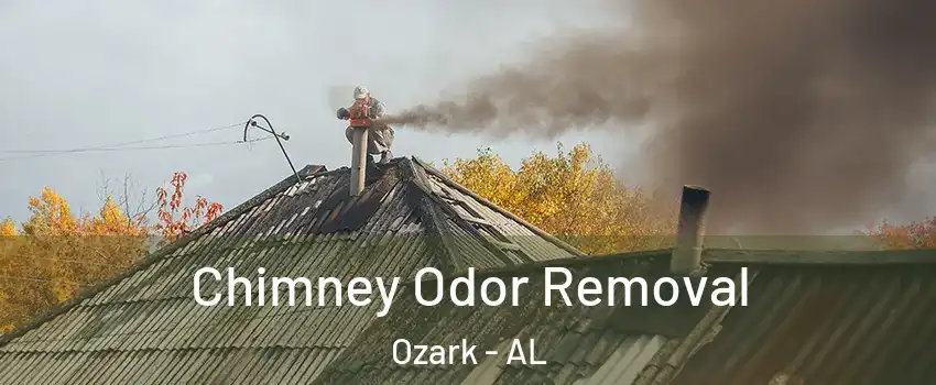  Chimney Odor Removal Ozark - AL