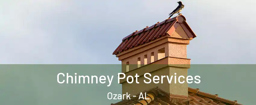  Chimney Pot Services Ozark - AL