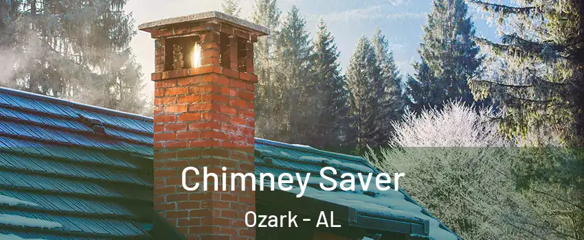  Chimney Saver Ozark - AL