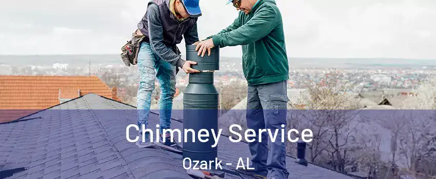 Chimney Service Ozark - AL