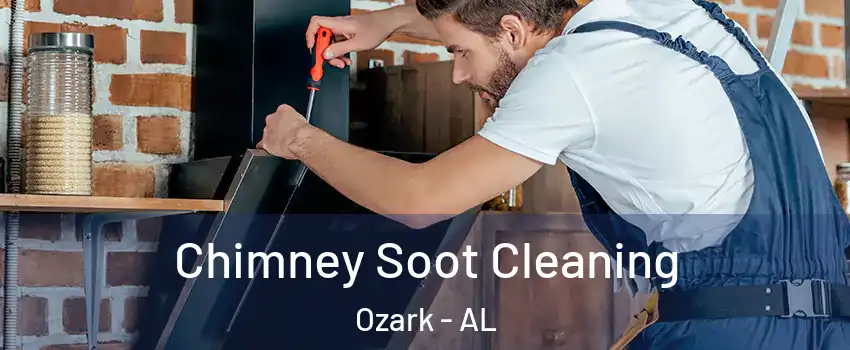  Chimney Soot Cleaning Ozark - AL