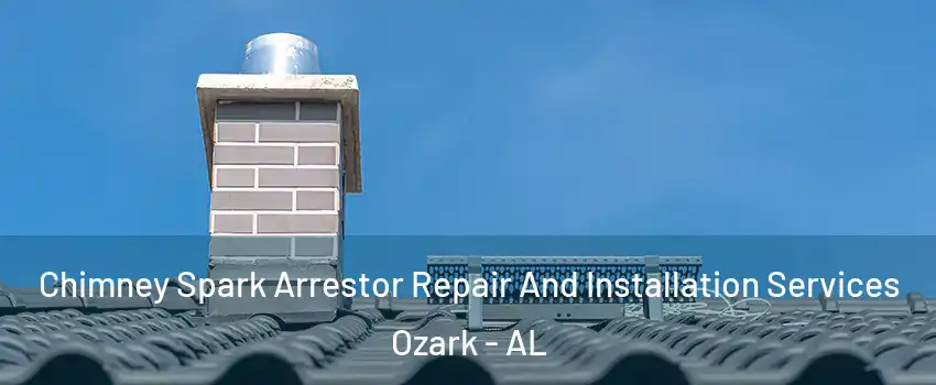  Chimney Spark Arrestor Repair And Installation Services Ozark - AL
