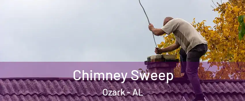  Chimney Sweep Ozark - AL