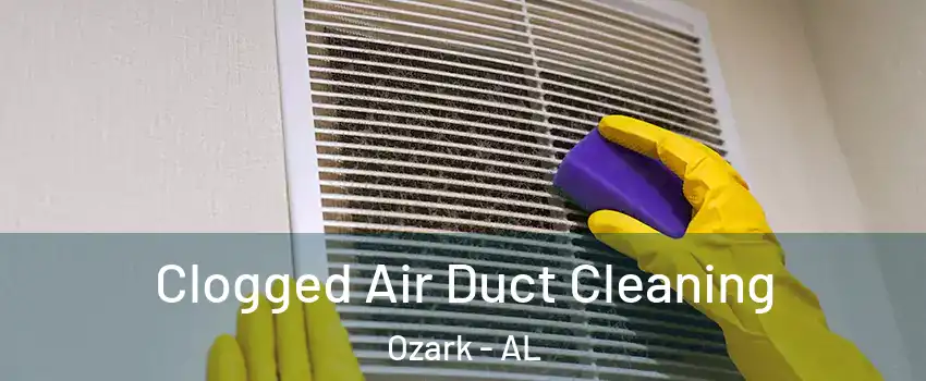  Clogged Air Duct Cleaning Ozark - AL