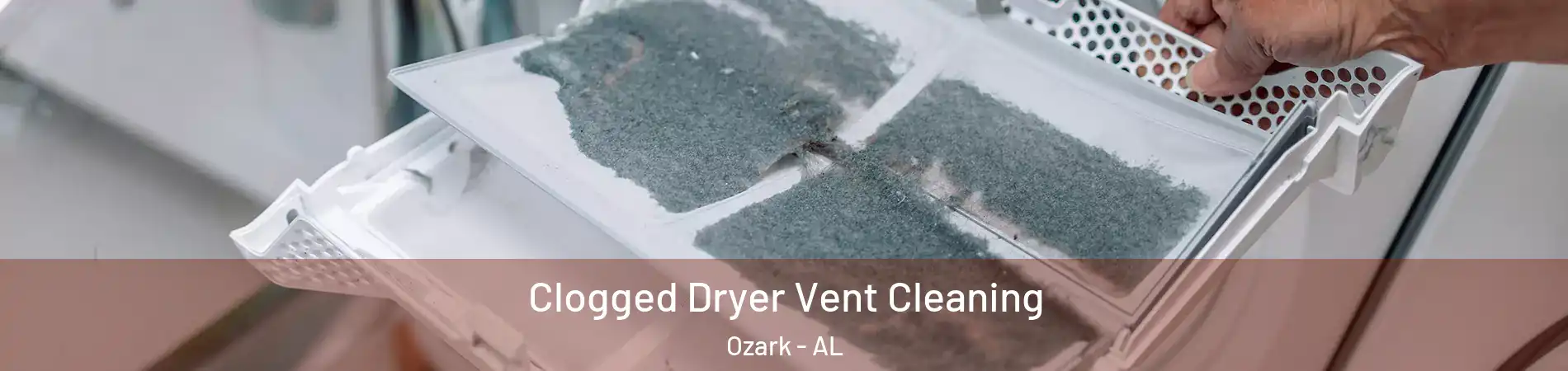  Clogged Dryer Vent Cleaning Ozark - AL