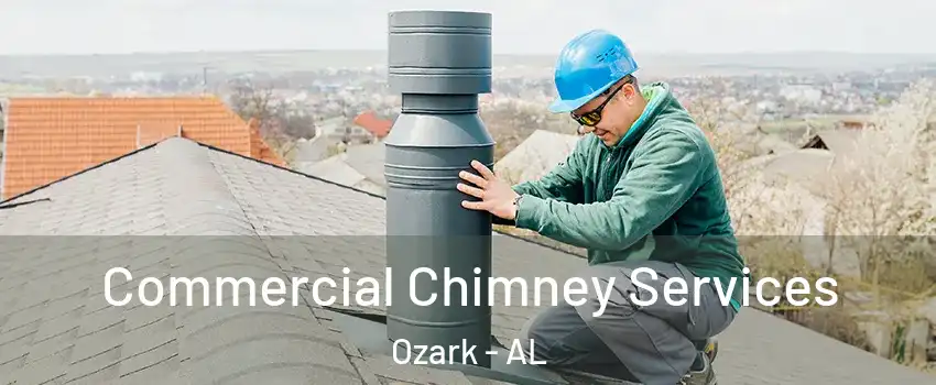  Commercial Chimney Services Ozark - AL