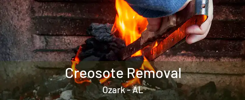  Creosote Removal Ozark - AL