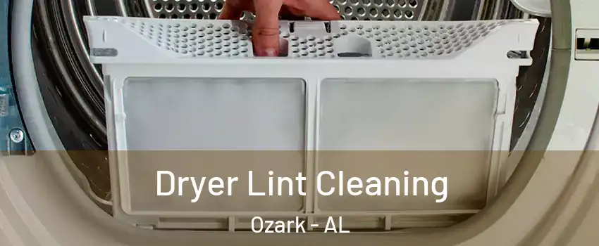  Dryer Lint Cleaning Ozark - AL