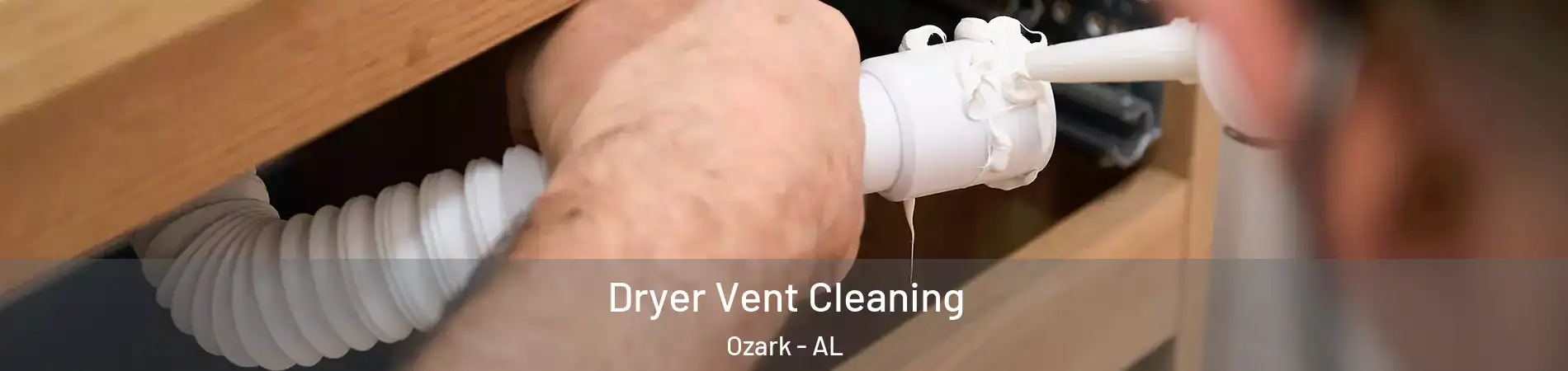  Dryer Vent Cleaning Ozark - AL