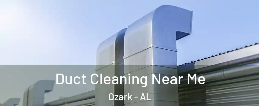 Duct Cleaning Near Me Ozark - AL