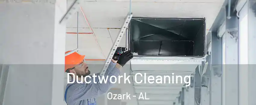  Ductwork Cleaning Ozark - AL