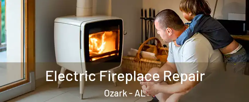  Electric Fireplace Repair Ozark - AL