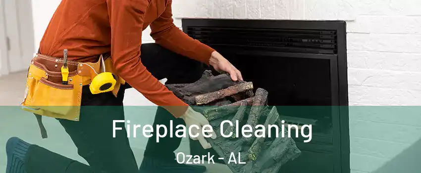  Fireplace Cleaning Ozark - AL