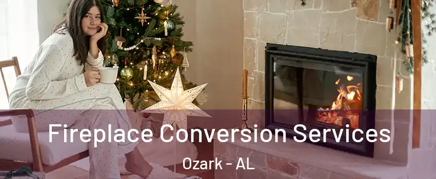 Fireplace Conversion Services Ozark - AL