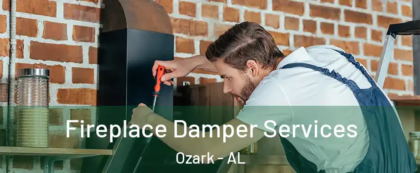  Fireplace Damper Services Ozark - AL