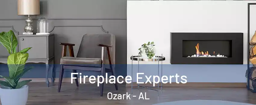  Fireplace Experts Ozark - AL