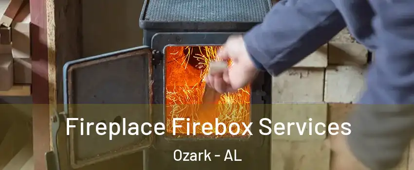  Fireplace Firebox Services Ozark - AL