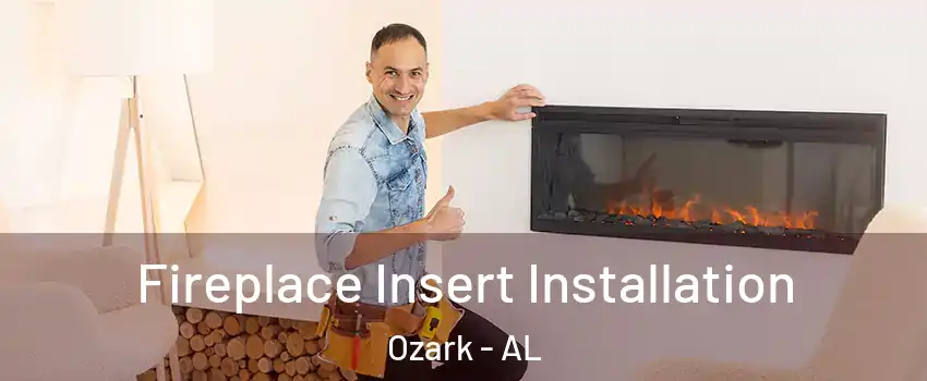  Fireplace Insert Installation Ozark - AL