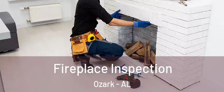  Fireplace Inspection Ozark - AL
