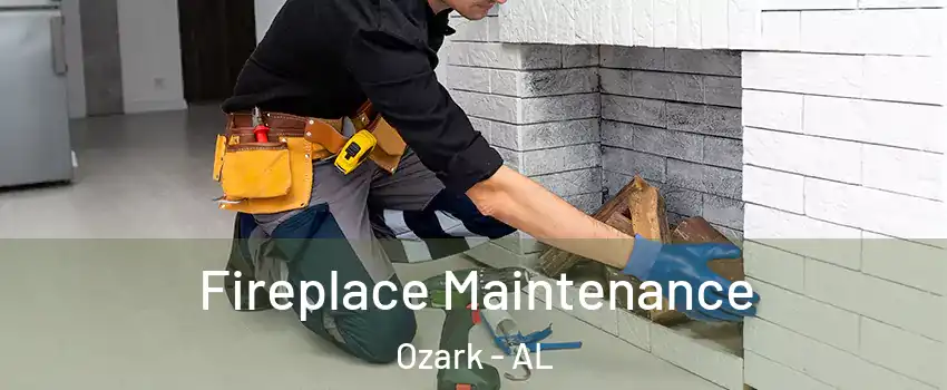  Fireplace Maintenance Ozark - AL