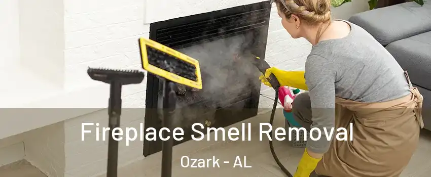  Fireplace Smell Removal Ozark - AL