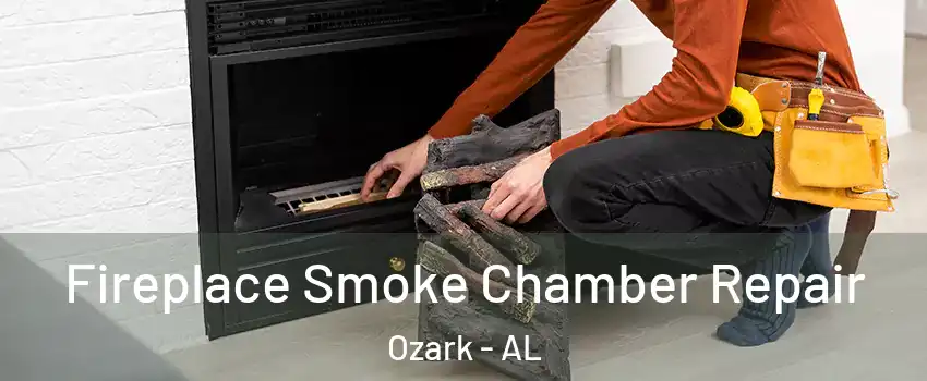  Fireplace Smoke Chamber Repair Ozark - AL
