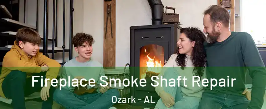  Fireplace Smoke Shaft Repair Ozark - AL