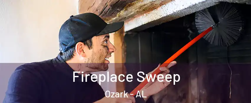  Fireplace Sweep Ozark - AL