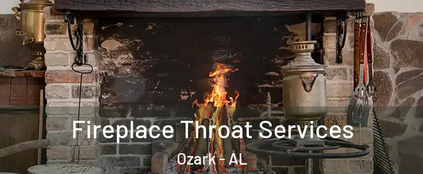  Fireplace Throat Services Ozark - AL