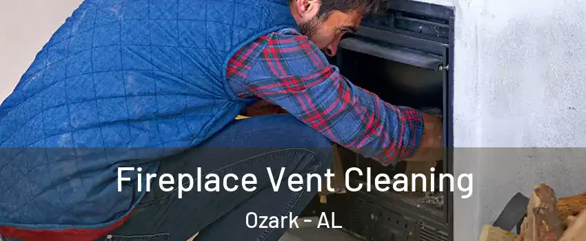  Fireplace Vent Cleaning Ozark - AL