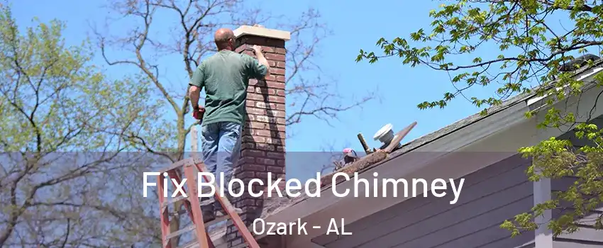  Fix Blocked Chimney Ozark - AL