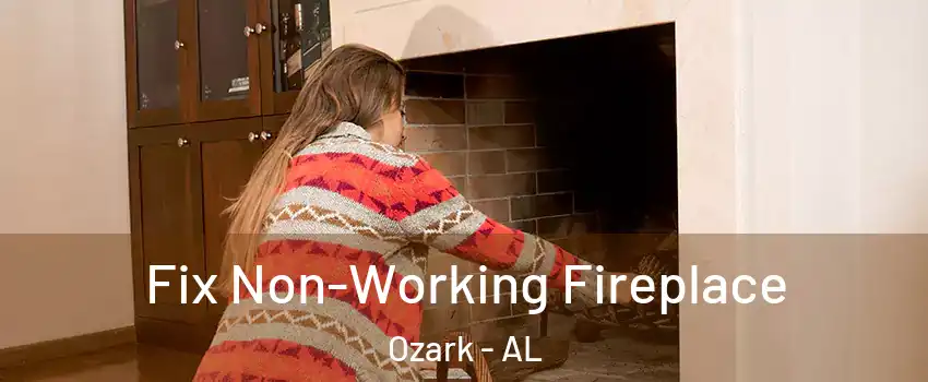  Fix Non-Working Fireplace Ozark - AL