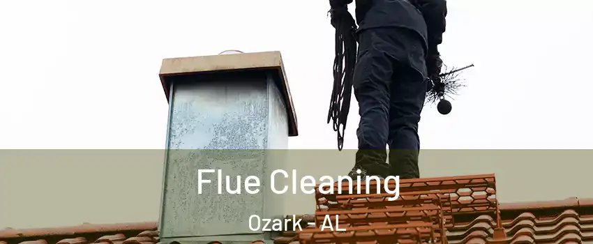  Flue Cleaning Ozark - AL