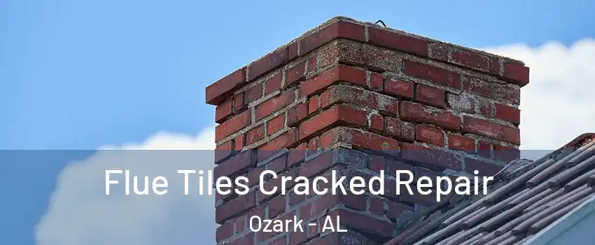  Flue Tiles Cracked Repair Ozark - AL