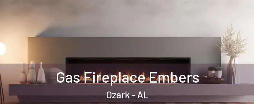  Gas Fireplace Embers Ozark - AL