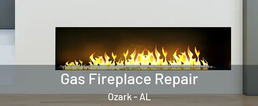  Gas Fireplace Repair Ozark - AL