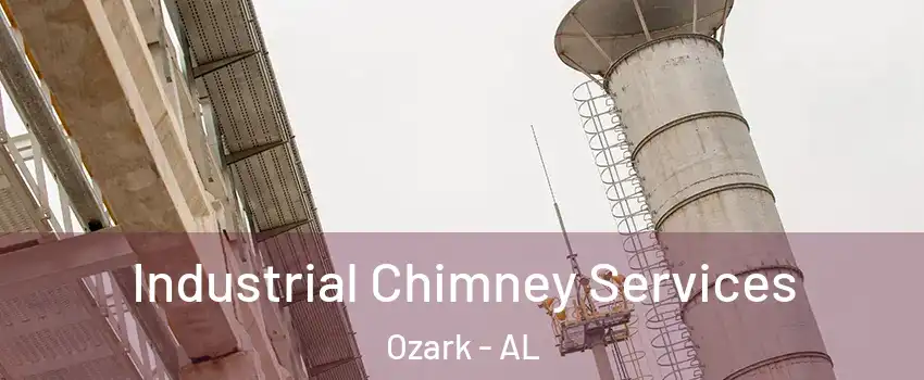  Industrial Chimney Services Ozark - AL
